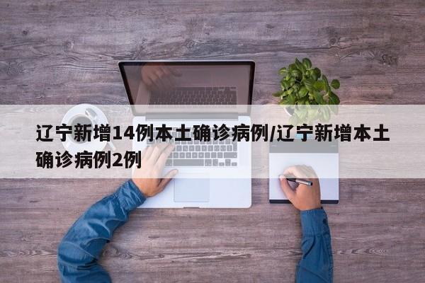 辽宁新增14例本土确诊病例/辽宁新增本土确诊病例2例