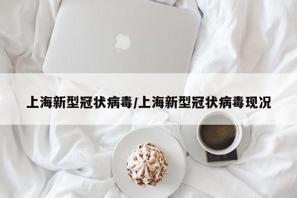 上海新型冠状病毒/上海新型冠状病毒现况