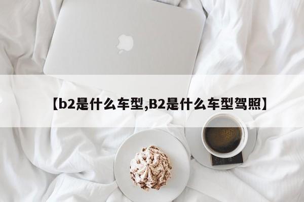 【b2是什么车型,B2是什么车型驾照】