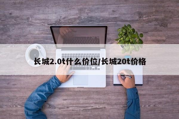 长城2.0t什么价位/长城20t价格