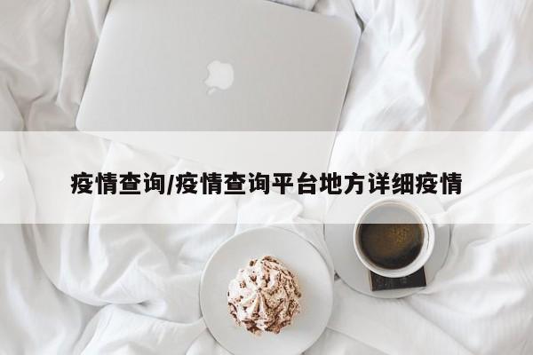 疫情查询/疫情查询平台地方详细疫情