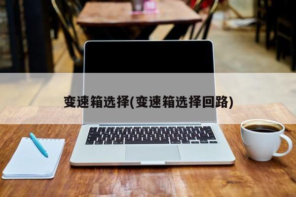 变速箱选择(变速箱选择回路)
