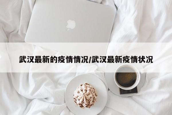 武汉最新的疫情情况/武汉最新疫情状况