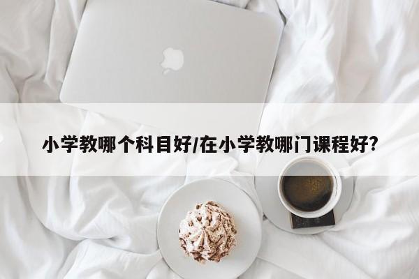 小学教哪个科目好/在小学教哪门课程好?